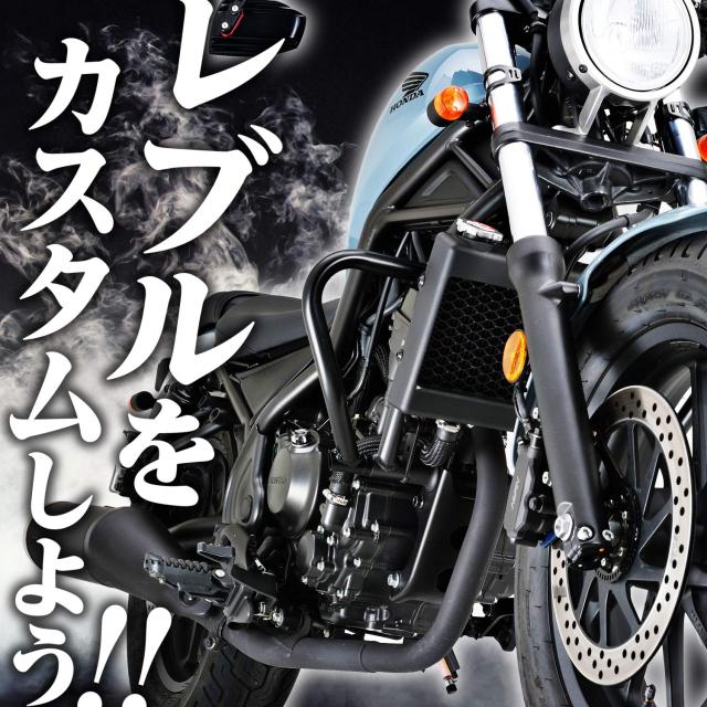 デイトナ(Daytona) バイク用 スクリーン レブル250/500(17-19) エアロバイザー クリアー 17493
