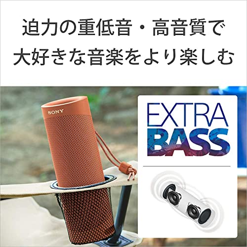 ソニー ワイヤレスポータブルスピーカー SRS-XB23 : 防水/防塵