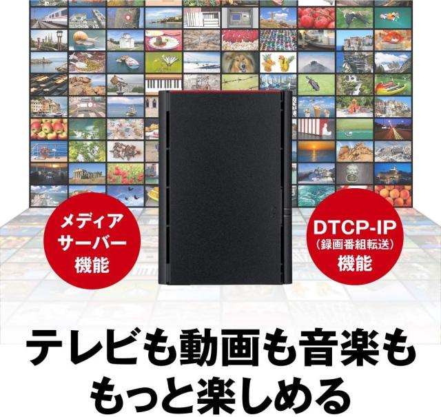 バッファロー BUFFALO リンクステーションLS220DG ネットワークHDD 2ベイ12TB LS220D1202G