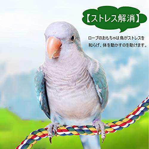 鳥用止まり木 インコ ロープパーチ 鳥用 ロープ インコ おもちゃ 遊びおもちゃ 爪を磨く 鳥休み場所 噛む玩具 吊り下げ 綿ロープおもちゃの通販はau  PAY マーケット - なんでん屋 au PAY マーケット店 | au PAY マーケット－通販サイト