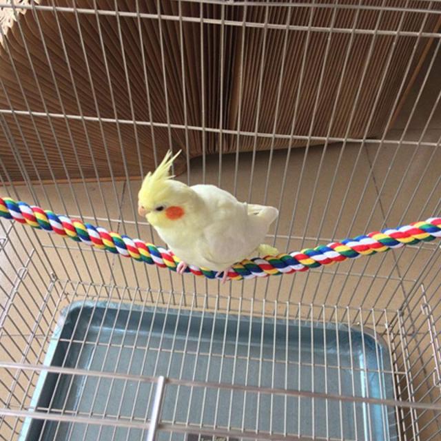 鳥用止まり木 鳥用ロープ インコ ロープパーチ インコ おもちゃ 布製
