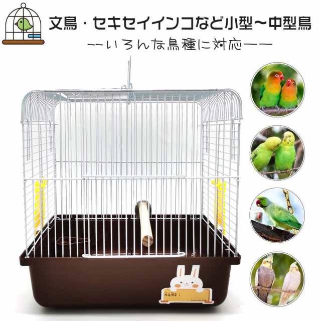 Amazon | IYOIYA 鳥 キャリー インコ キャリーケース 止まり木