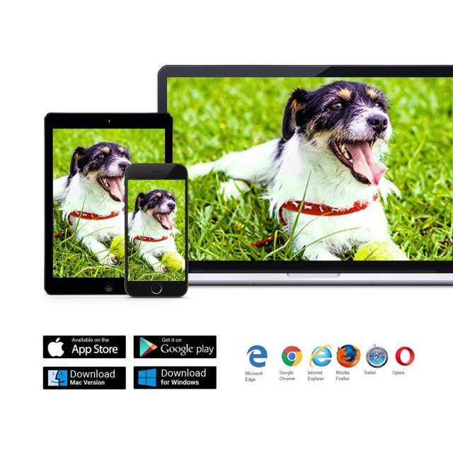 Anpviz 超HD IP POE 防犯カメラ PoE給電 ONVIF対応 人感検知 アラーム