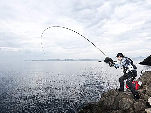 シマノ(SHIMANO) 磯竿 20 ライアーム 1.2号 500_5