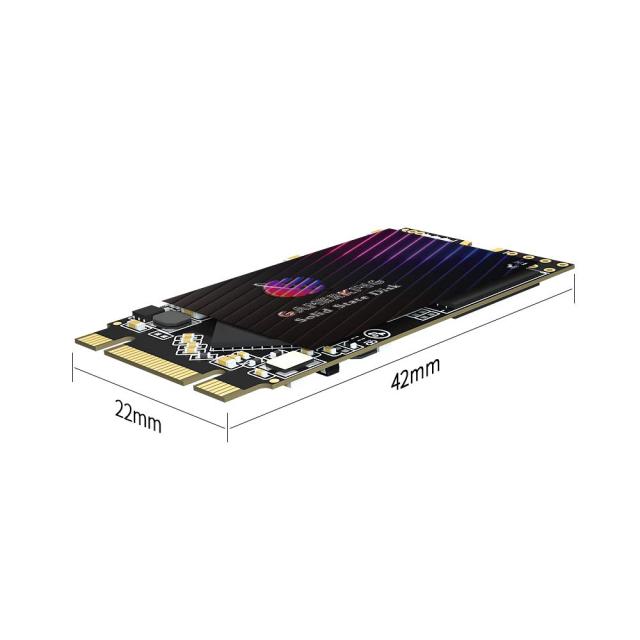 GamerKing M.2 2242 SSD 1TB SATA III 6Gb/s NGFF 内蔵型 Solid State