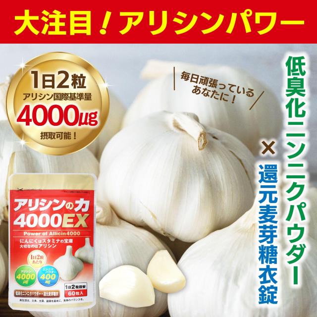 アリックス  サプリメント 楽天市場】＼医療メーカー公式／中山式 にんにく マカ アルギニン