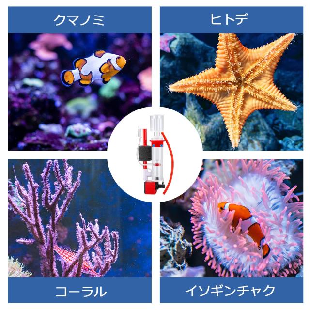Poafamx プロテインスキマー 塩水用 50-150L 水抜き量900L/H排液を引き出し配管付き添い人 海洋博物館スキマー 海洋博物館用瀘過器 揚水機付き添い人 小型 110