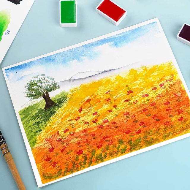 Paul Rubens 絵の具 透明水彩絵具 24色セット 水彩絵の具 固形水彩 大