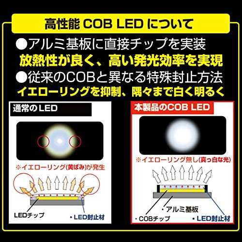 IPF ルームランプ LED 車用 T10 T13 T16 100lm 6000K ホワイト 12V用 1個入 COB サイド照射 ラゲッジ  カーテシー バニティ 横挿しランプの通販はau PAY マーケット - BO store | au PAY マーケット－通販サイト