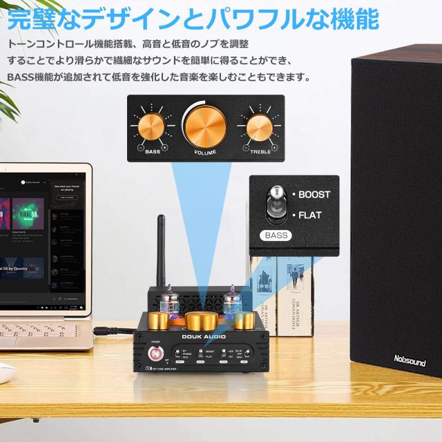 Douk Audio X1 GE5654 Bluetooth 5.0 真空管アンプ MM フォノアンプ ターンテーブル用 320W TDA7498E NE5532_4