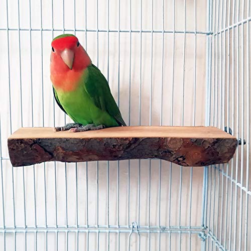 止まり木りんごの木 パーチ インコ オウム 自然木 鳥 オウム 文鳥