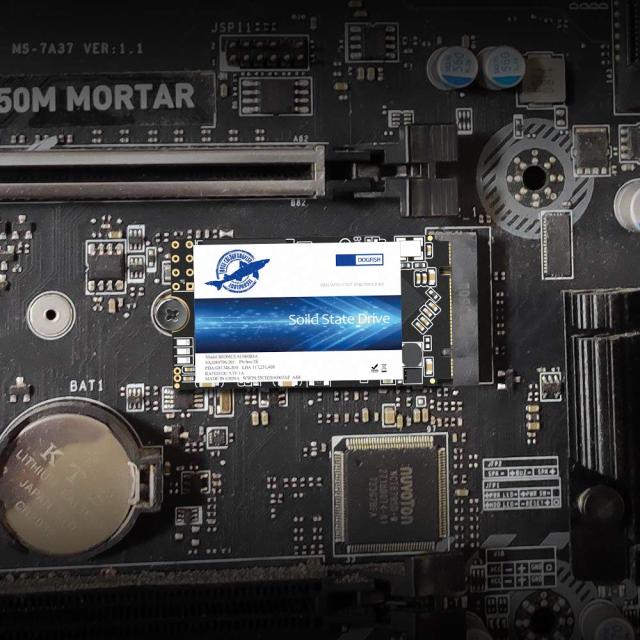 Dogfish M.2 2242 SSD 256GB Ngffの内部のソリッドステートドライブ高性能ハードドライブ Solid State Drive (256GB, M.2 2242)_2