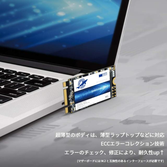Dogfish M.2 2242 SSD 256GB Ngffの内部のソリッドステートドライブ高性能ハードドライブ Solid State Drive (256GB, M.2 2242)_5