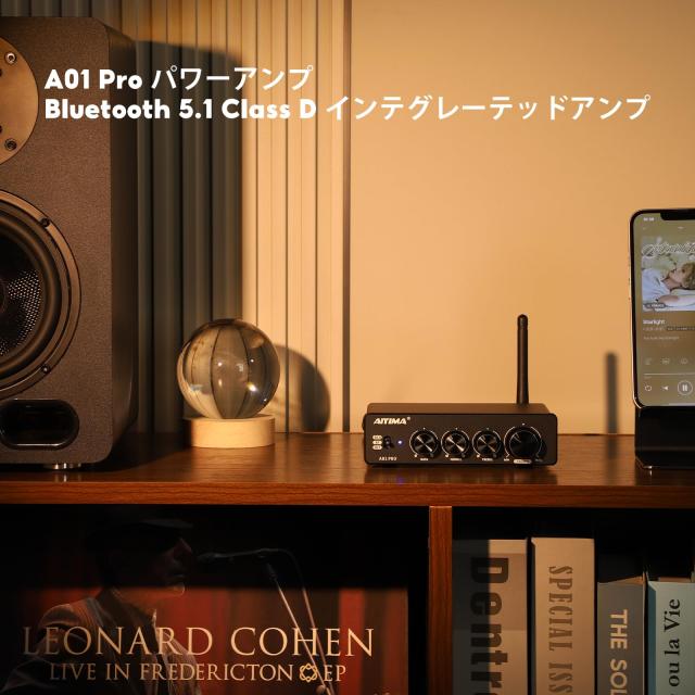AIYIMA A01 Pro 100W x 2 アンプ Bluetooth 5.1 Class D インテグレー 