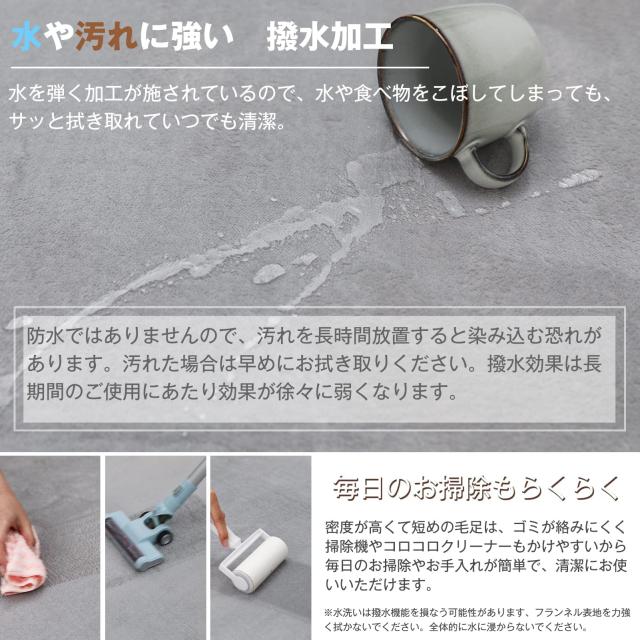 Colorsroom カーペット ラグ 極厚25mm 200×250cm 約3畳 クッションラグ 防音 厚手 撥水加工 防ダニ 抗菌 防臭 低ホルム もちもち ふわっ_2