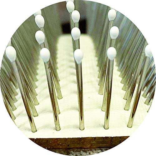 BIOGANCE マッサージブラシ 化粧箱入り 高級ナッツの木使用 イベント大