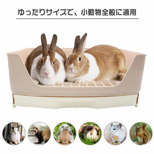 Gifty うさぎ トイレ 四角 40*30 大型 うさぎのトイレ ロップ フェレット チンチラ デグー モルモット 小動物 引き出し 大きめサイズの通販は