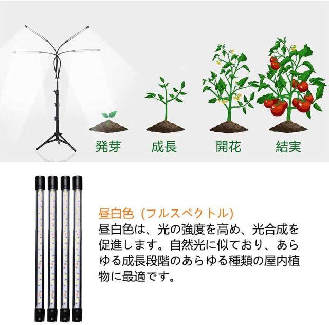 LED植物育成ライト、スタンド付き4ヘッドプラントライト、屋内