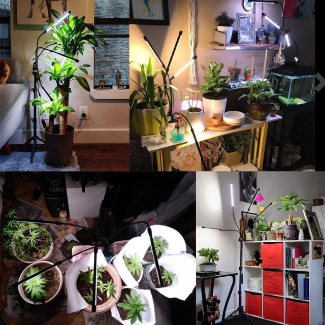 LED植物育成ライト、スタンド付き4ヘッドプラントライト、屋内