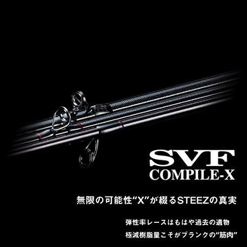 ダイワ(DAIWA) 21 スティーズ C67MH-FR ベイトキャスティングモデル