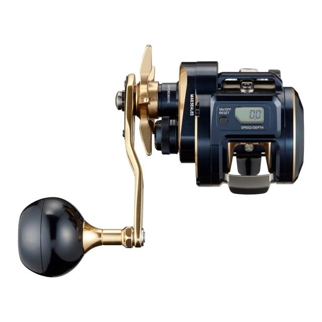 ダイワ(DAIWA) 21 ソルティガIC 300L_2