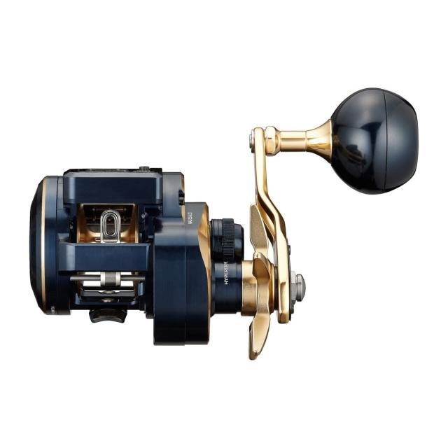 ダイワ(DAIWA) 21 ソルティガIC 300L_3