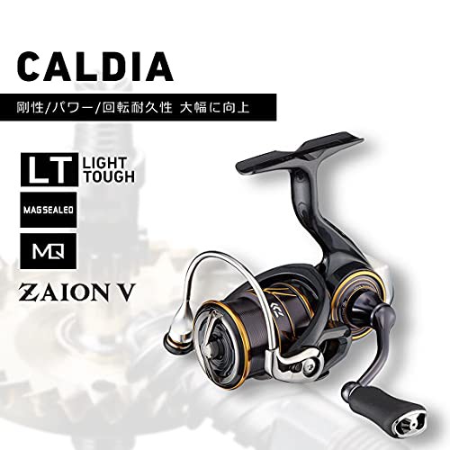 ダイワ(DAIWA) 21 カルディア FC LT2500S