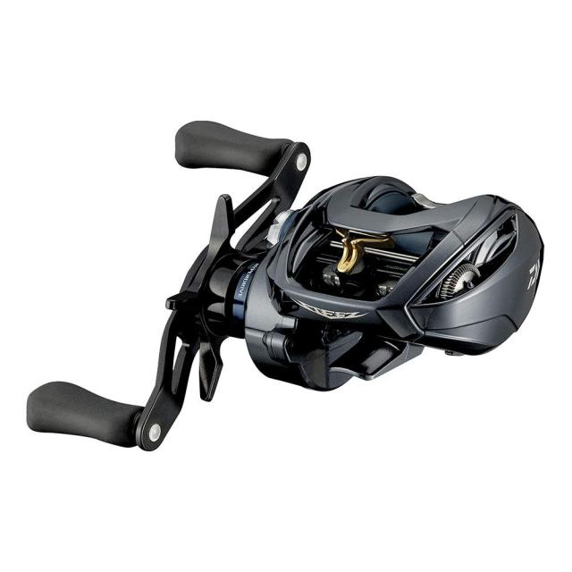 ダイワ(DAIWA) 21 スティーズ A TW HLC 6.3R