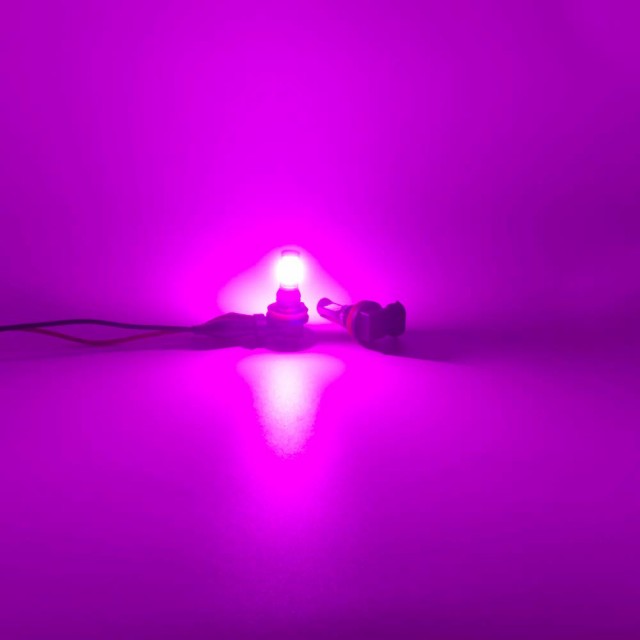 MAZERO フォグランプ H8 H11 H16 LED ピンク パープル フォグ