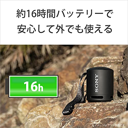 ソニー ポータブルスピーカー SRS-XB13 LIC パウダーブルー 2021年モデル 防水・防塵IP6 バッテリー駆動最大16時間