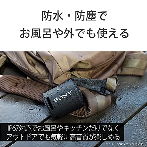 ソニー ポータブルスピーカー SRS-XB13 LIC パウダーブルー 2021年モデル 防水・防塵IP6 バッテリー駆動最大16時間