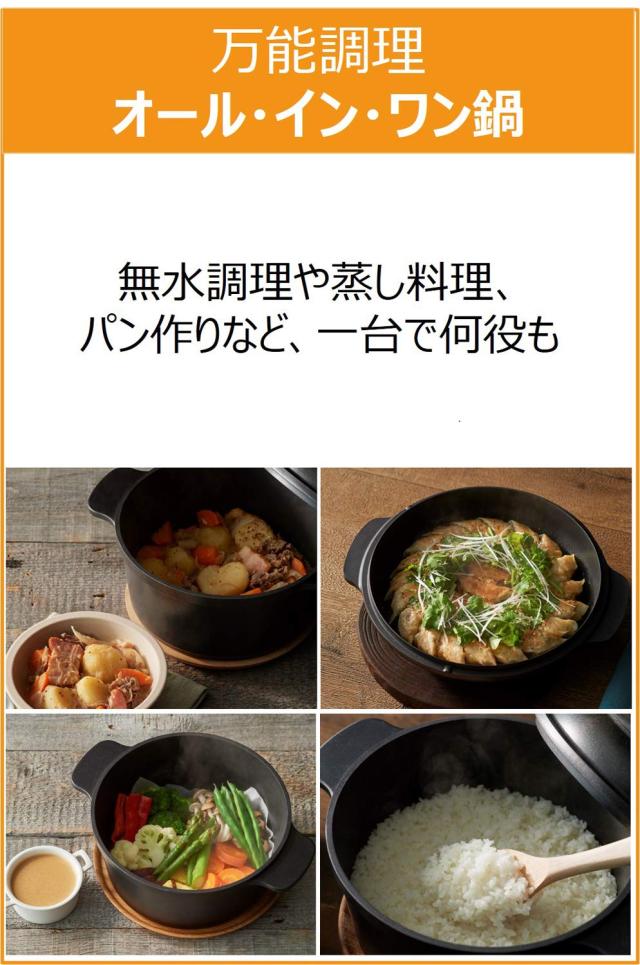 オンライン限定】 ティファール 万能鍋 24cm 両手鍋 無水調理 鋳物