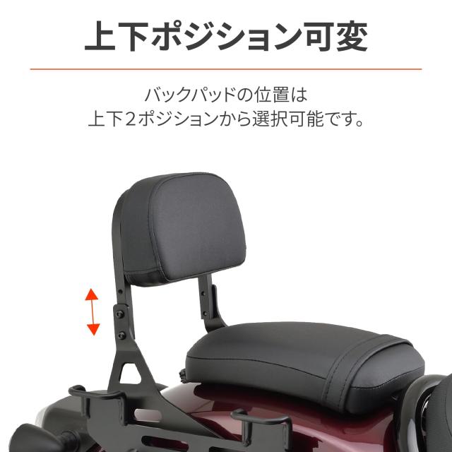 デイトナ(Daytona) バイク用 バックレスト レブル1100/DCT/T(21-23