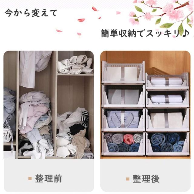 TelCormik 衣装ケース 引き出し クローゼット用 服収納ケース タンスの