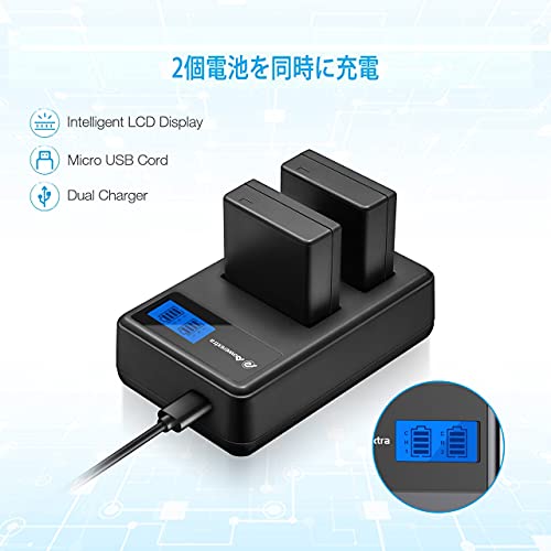 DMW-BLE9/DMW-BLE9E/BLG10 互換バッテリー 2個+充電器セット 実