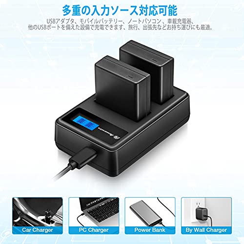 DMW-BLE9/DMW-BLE9E/BLG10 互換バッテリー 2個+充電器セット 実