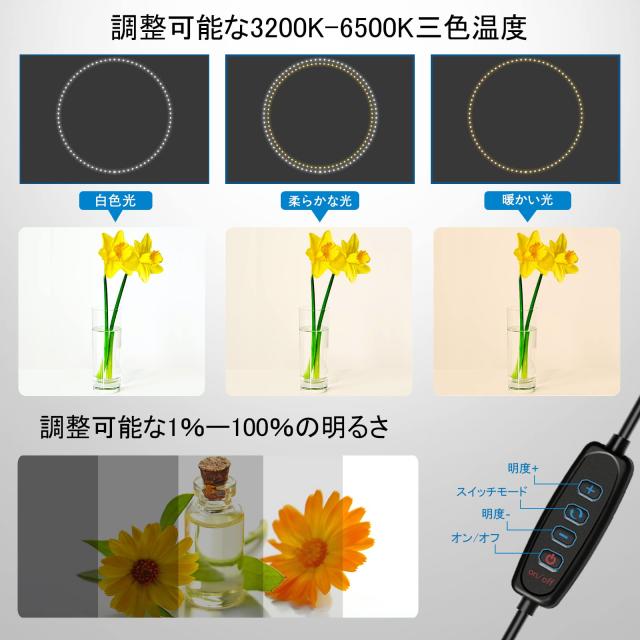 PULUZ 40cm撮影ボックス 簡易スタジオ 40cm 撮影ブース 円形led搭載 ディフューザー付き Type-c接続 折り畳み撮影キット 3色温度調整 撮の通販は PULUZ 40cm撮影ボックス 簡易スタジオ 40cm 撮影ブース 円形led搭載 ディフューザー付き Type-c接続 折り畳み撮影キット 3色温度調整 撮の通販は