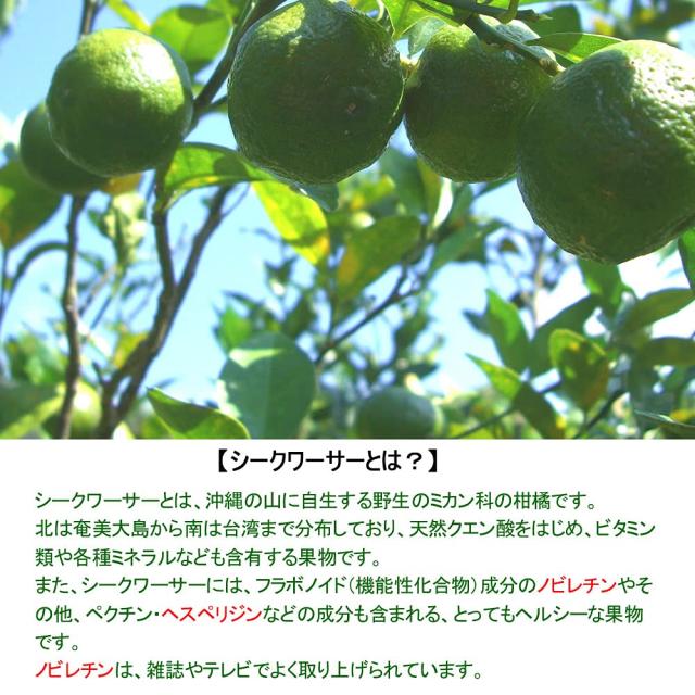 沖縄専科 シークワーサー 原液 青切り ジュース 大宜味産果実使用 720mlx3本_5