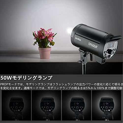 Godox DP600III プロフェッショナルスタジオフラッシュライト モデリングライト 600Ws 2.4G ストロボ照明とボーエンスマウント 5600K色温の通販は Godox DP600III プロフェッショナルスタジオフラッシュライト モデリングライト 600Ws 2.4G ストロボ照明とボーエンスマウント 5600K色温の通販は
