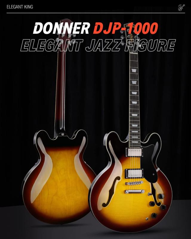 Donner セミアコギター エレキギター セミアコースティック
