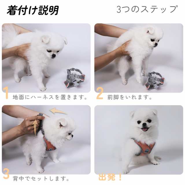 Miru pochi(ミルポッチ) 犬 猫 ハーネス 小型犬 超小型犬 リード