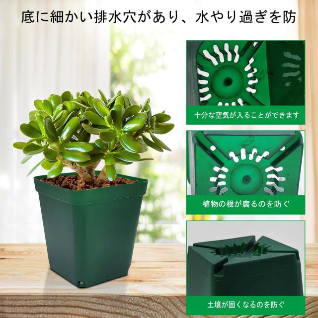 大容量 正方形 ポット 8cm 100個 多肉植物 苗 花 プラ グリーン RooTrimmer 育苗ポット 8cm 正方形 苗ポット プラスチック ナーセリー