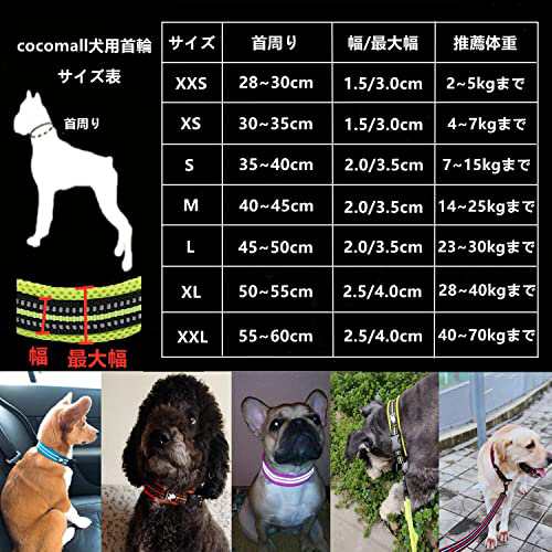 犬 ストア 首輪 日本