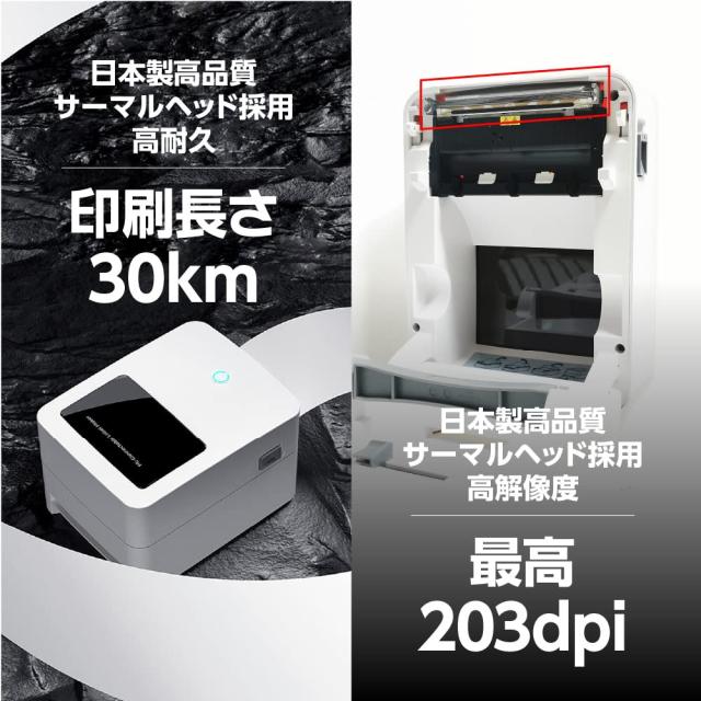 ERES 272505IMPCOQUILLAGSABLEFIN 関税送料込 HEIKO 業務用 タックラベル(シール) 50円引き スリット加工 504