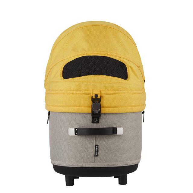 赤獅子 花瓶 狛犬 シンガポール 中国 シノワズリー Shisa dogs - Etsy 日本