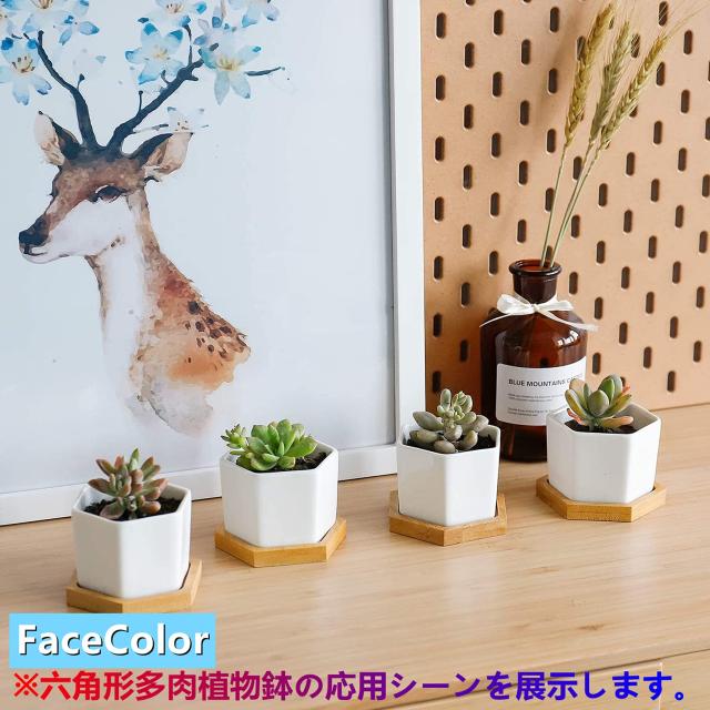 FaceColor 多肉植物ポット 陶器鉢 サボテンポット 観 葉植物 鉢植え FaceColor 六角形 植木鉢 多肉植物鉢 陶器鉢 サボテン鉢 観葉植物
