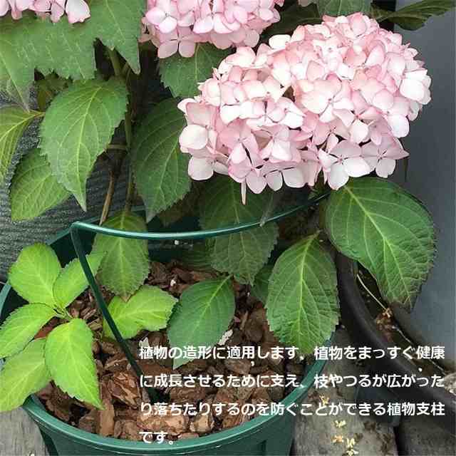 Yivoumi 植物支柱 4点セット 35*20cm 花ささえ 園芸支柱 植物サポート 観葉植物 つる性植物 観葉支柱 誘引 支柱 簡単設置 花支え  支柱棚 の通販はau PAY マーケット - Rosso market（ロッソマーケット） au PAY マーケット店 | au PAY  マーケット－通販サイト