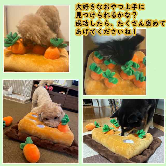 Askil にんじん穴 ノーズワーク 犬おもちゃ ペットおもちゃ にんじん収穫隊 知育 噛む 動く おやつ隠し 嗅覚訓練 訓練毛布 餌マット  早食の通販はau PAY マーケット - なんでん屋 au PAY マーケット店 | au PAY マーケット－通販サイト