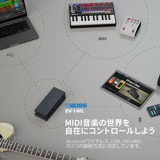 BOSS/EV-1-WL_2