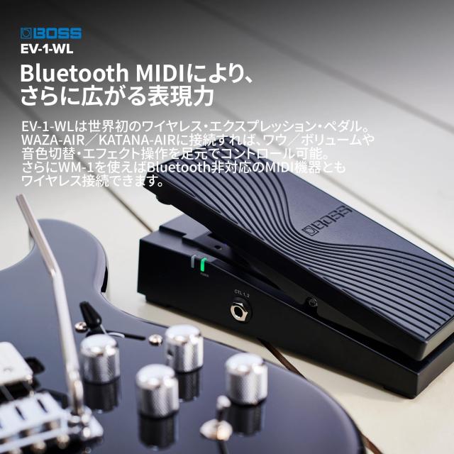 BOSS/EV-1-WL_3